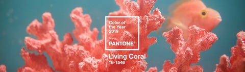 Live Coral Pantone: Color del año 2019