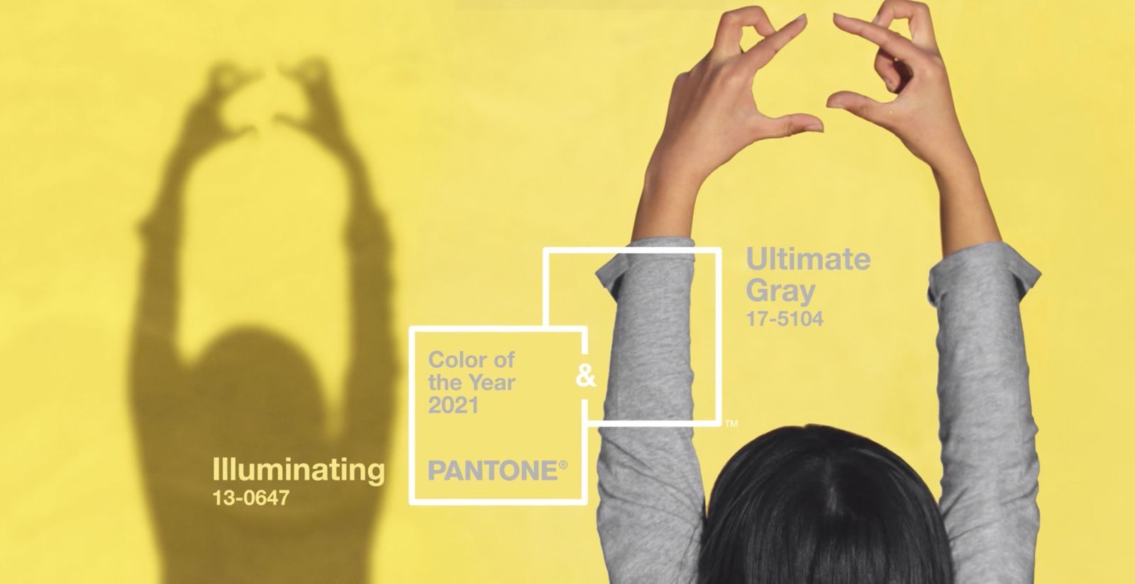 Color Del Ano De Pantone 2021 Ultimate Gray E Illuminating