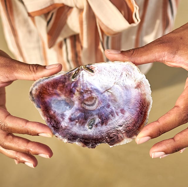 Hands holding seashell with beautiful Mother of Pearl at beach of port barton, palawan, philippines