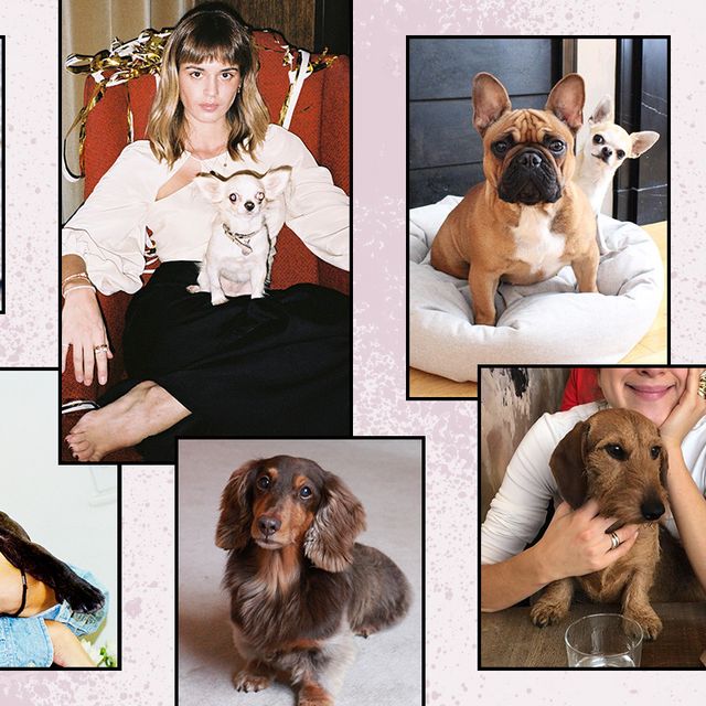 かわいい犬の写真がてんこ盛り パリジェンヌと愛犬のおしゃれスナップを大公開