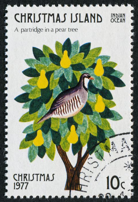 partridge in a pear tree stamp. 