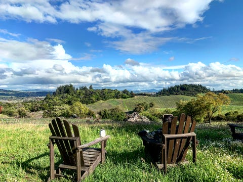 passalacqua vineyards