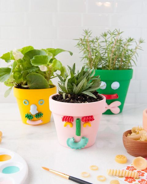 colorful planters with faces made of pasta