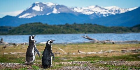 You Can Take Volunteer Vacations to Places like Patagonia? Sign Us Up!