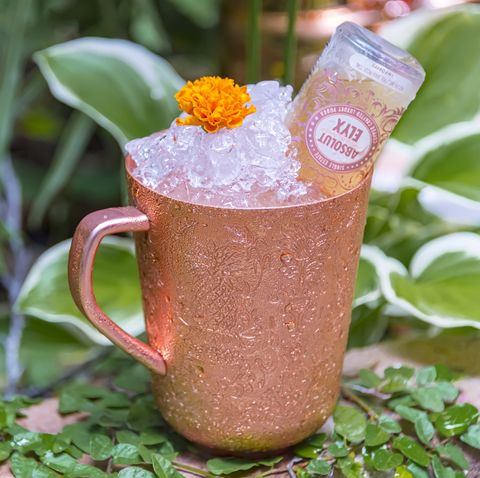 Non-alcoholic beverage, Drink, Moscow mule, Plant, Flower, 