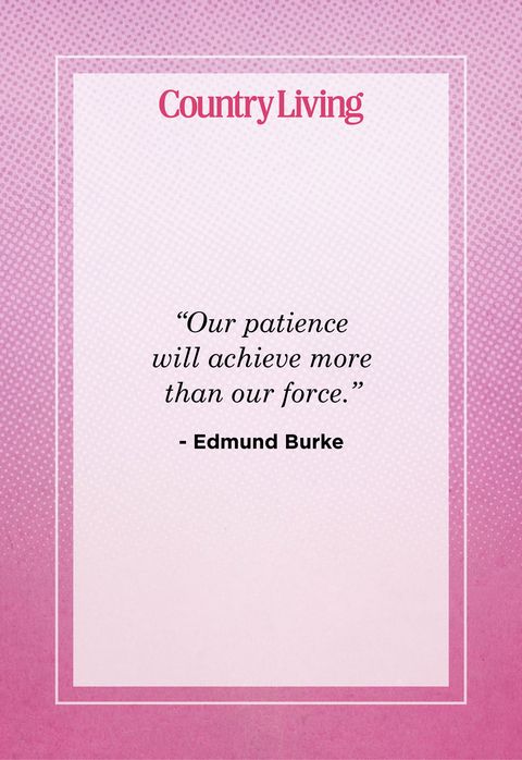 Quote About Patience By Edmund Burke