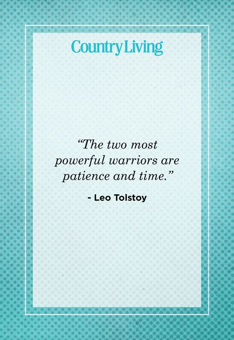 Quote about Patience by Leo Tolstoy