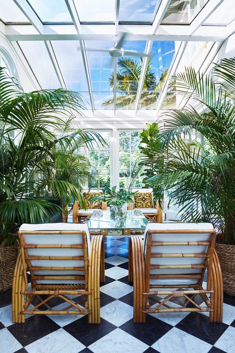 patio with skylight and plants