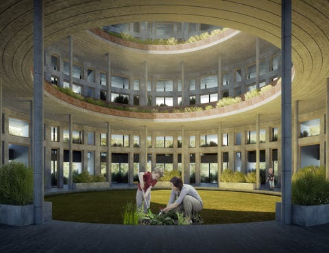 Proyecto Forest del estudio de arquitectura Nudes proyecto forest del estudio de arquitectura nudes, un colegio que conecta con la naturaleza