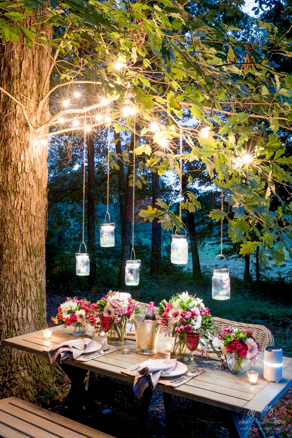 picnic table with string lights