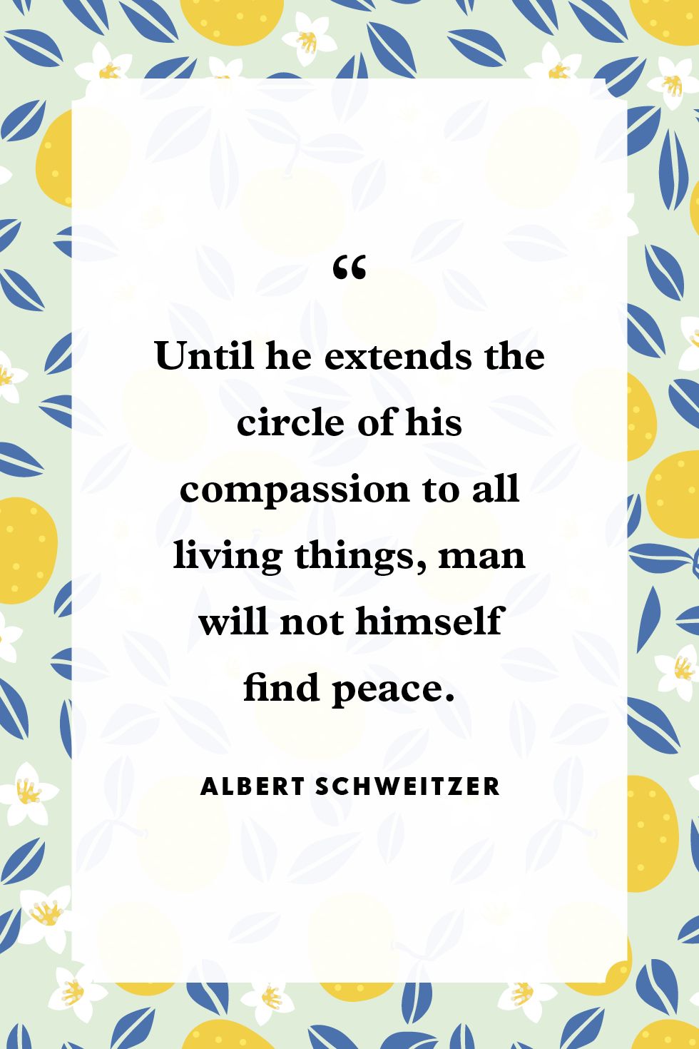 30 Best Peace Quotes Quotes And Sayings About Peace And Understanding
