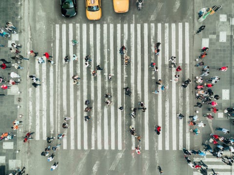 Pedestrians on zebra crossing, New York City Pedestrians on zebra crossing, New York City