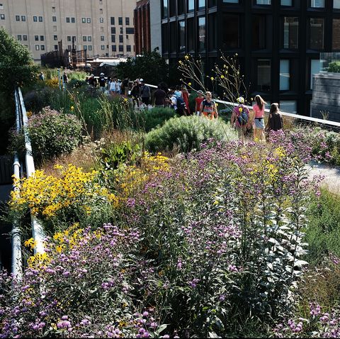 New Yorkers Enjoy High Line Park In 80 Degree Summer Weather