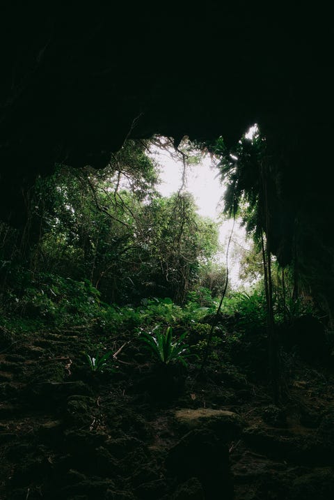 People exploring jungle cave with headlamp, Okinawa, Japan people exploring jungle cave with headlamp, okinawa, japan
