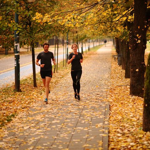 Running in autumn