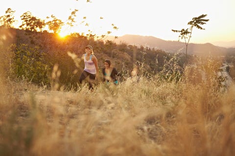 people walking up hillside path