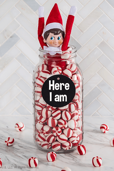 25 Best Elf On The Shelf Return Ideas 2021 - Elf Return Ideas