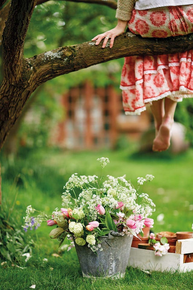 plantas