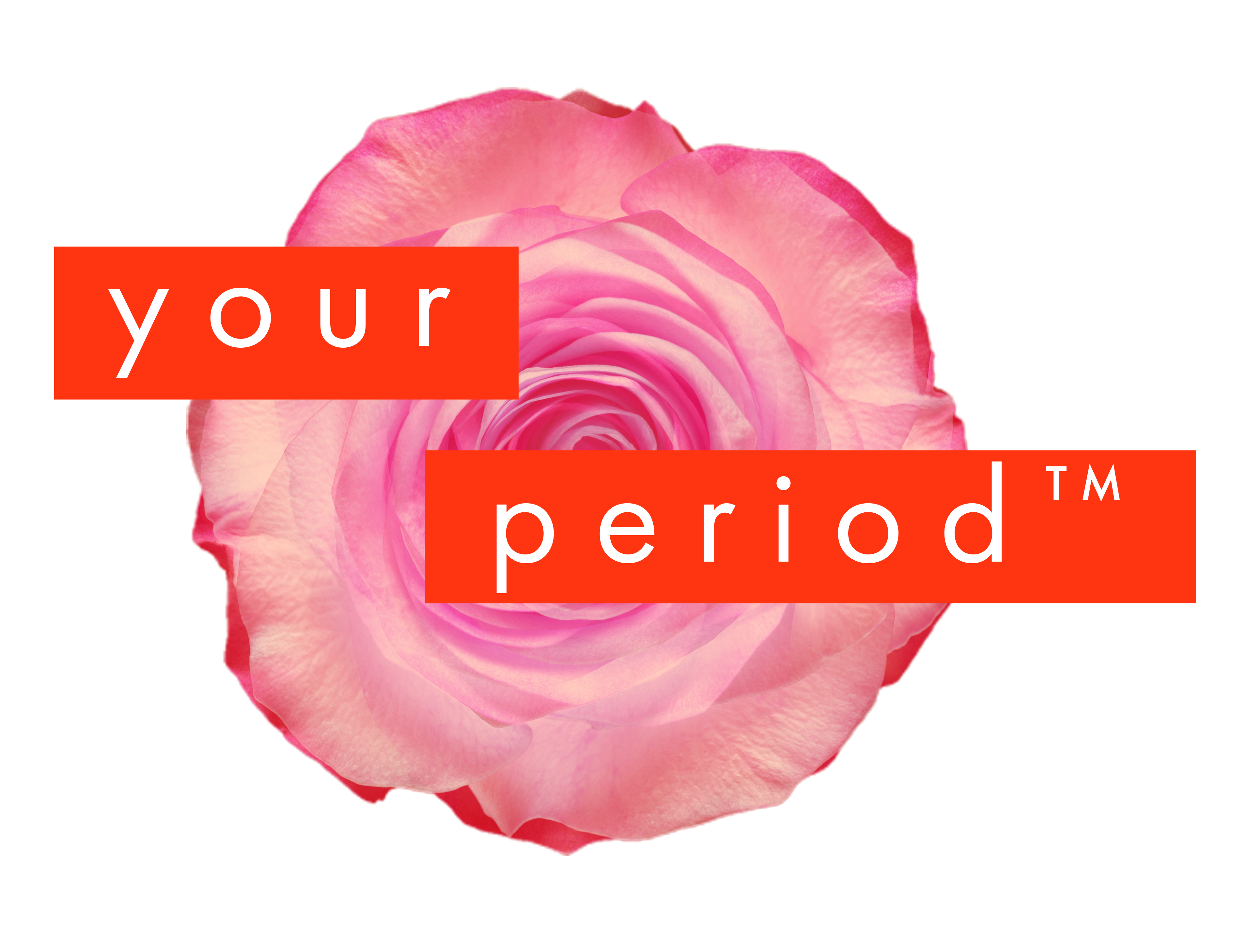 Period Tracker Chart