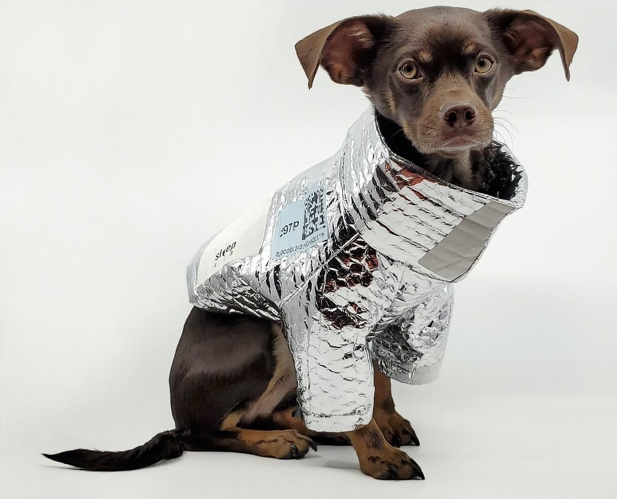 Un abrigo perros hecho con materiales reciclados - Mascotas