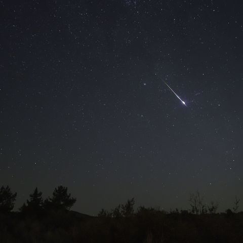 perseids meteor