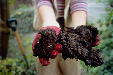 Person holding clumps of soil