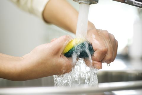 Person rinsing sponge under kitchen faucet