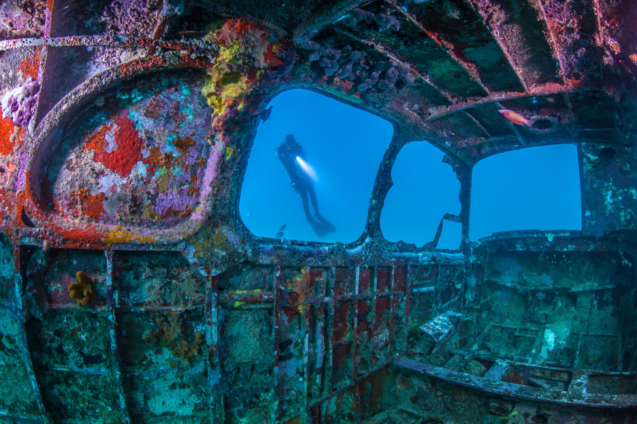 15 Photos Of Underwater Shipwrecks - Beautiful Shipwreck Images