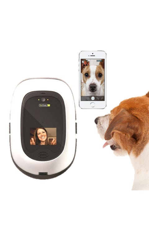 30 best gifts for dog lovers 2018 unique dog owner gift ideas