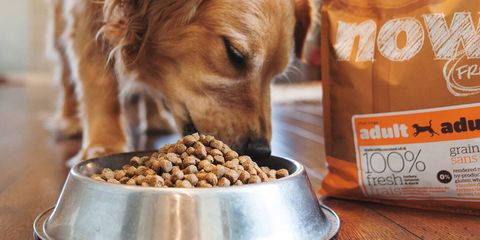 5 Best Pet Food Delivery Services to Use in 2018 - Dog ...