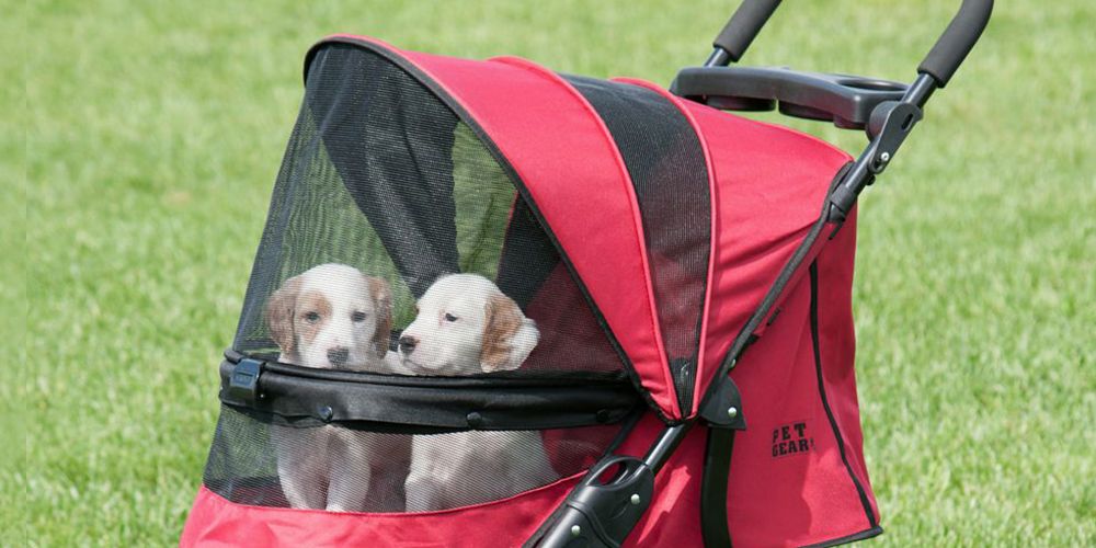 can you use a baby stroller for a dog