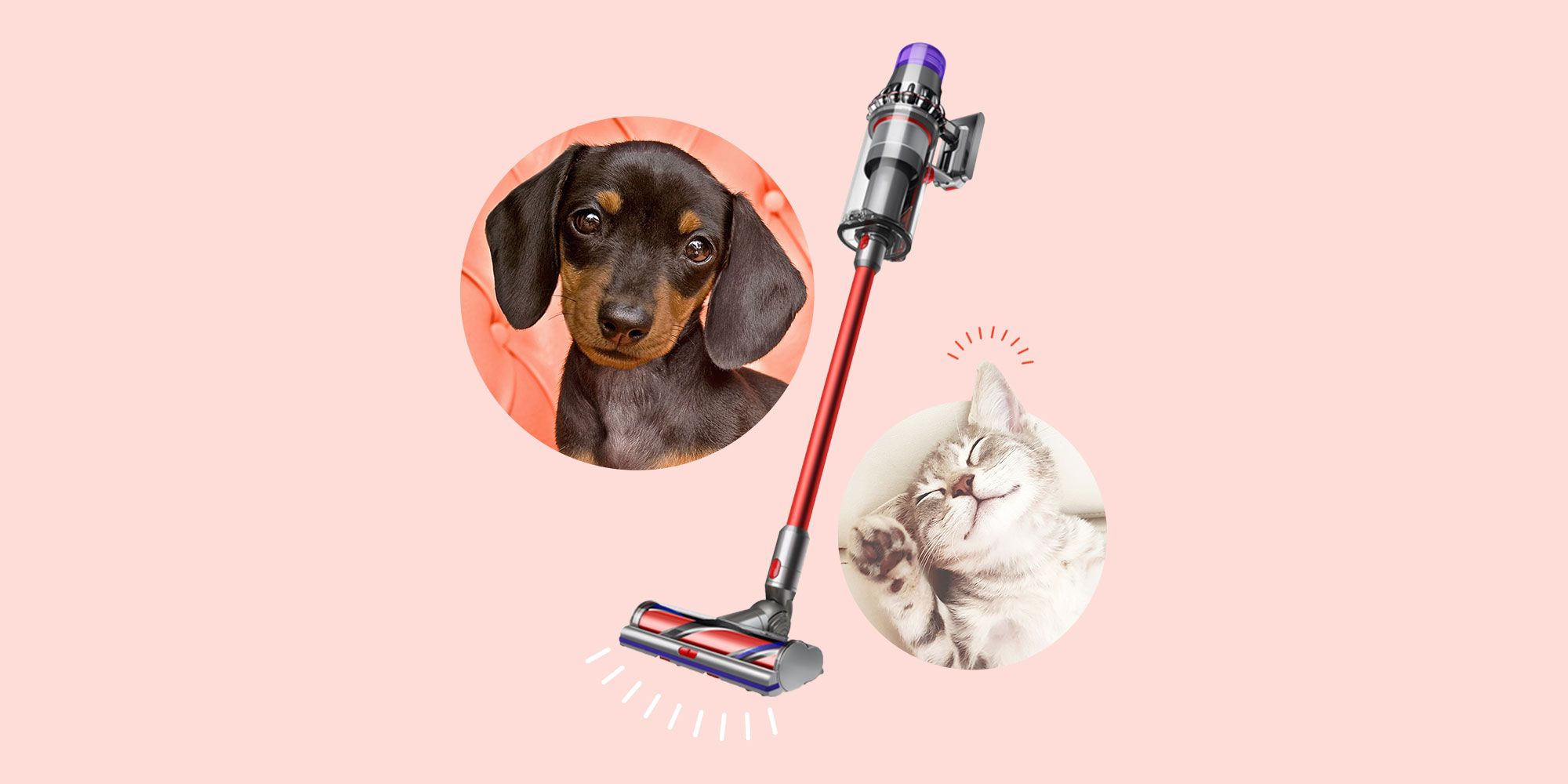 best vacuum for dog hair