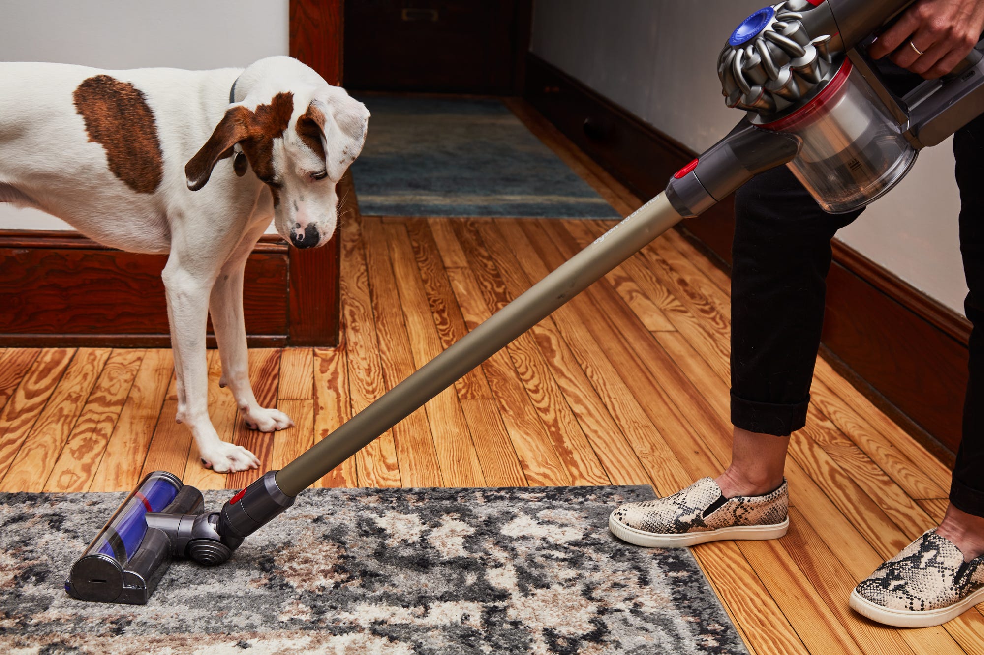 what vacuum is good for dog hair