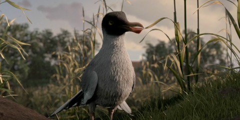 peter-capaldi-watership-down-1545600072.png