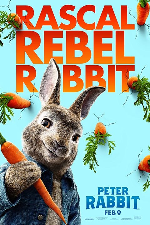 Organism, Rabbit, Adaptation, Carrot, Rabbits and Hares, Vegetarian food, Photo caption, 