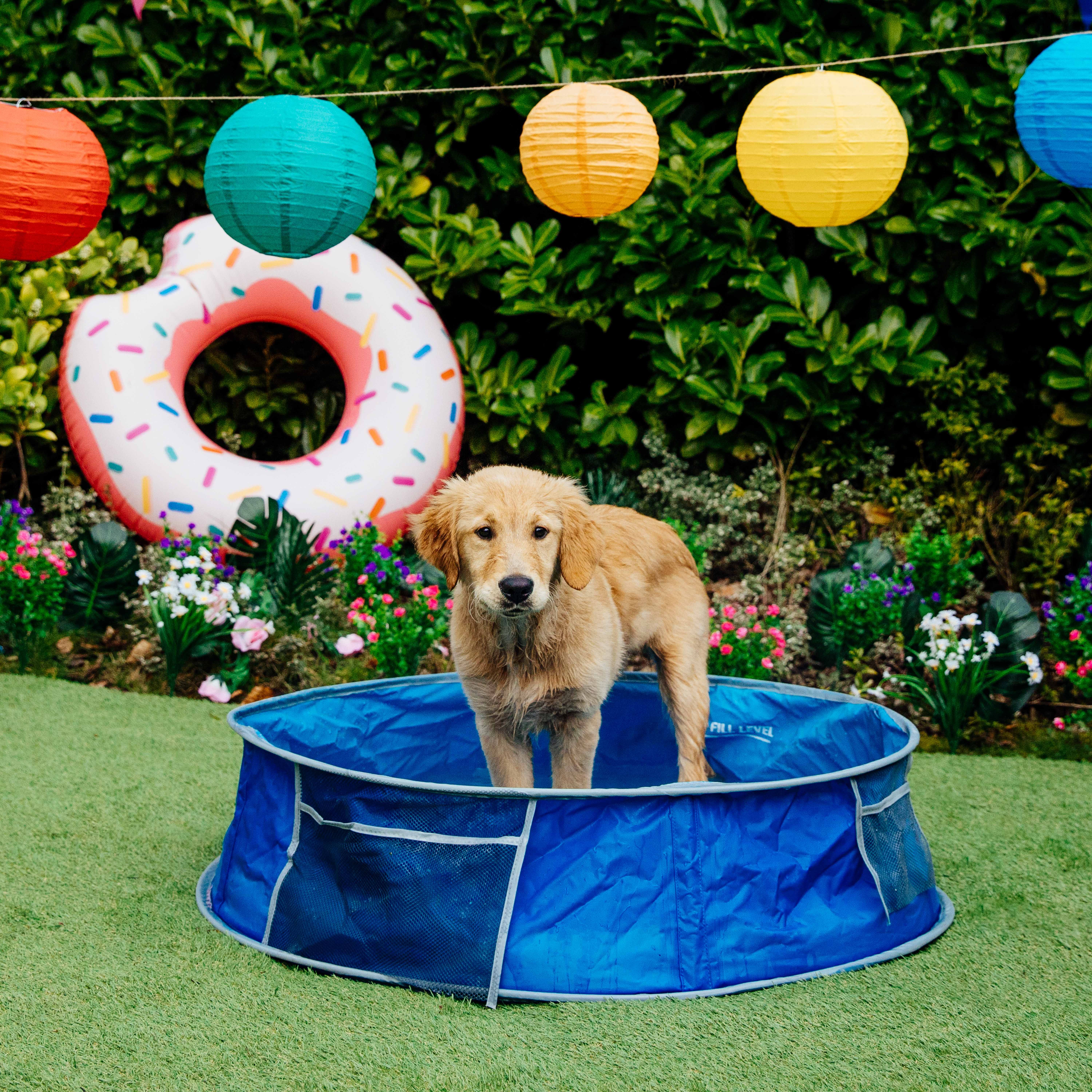 pets at home cooling mat