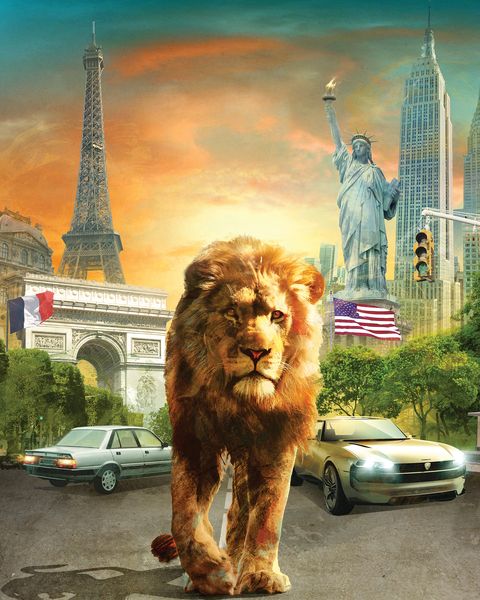 Lion, Wildlife, Felidae, Carnivore, Illustration, Art, Painting, Watercolor paint, Car, Vehicle, 