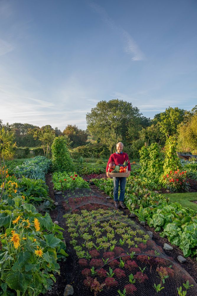 garden story price garden story price