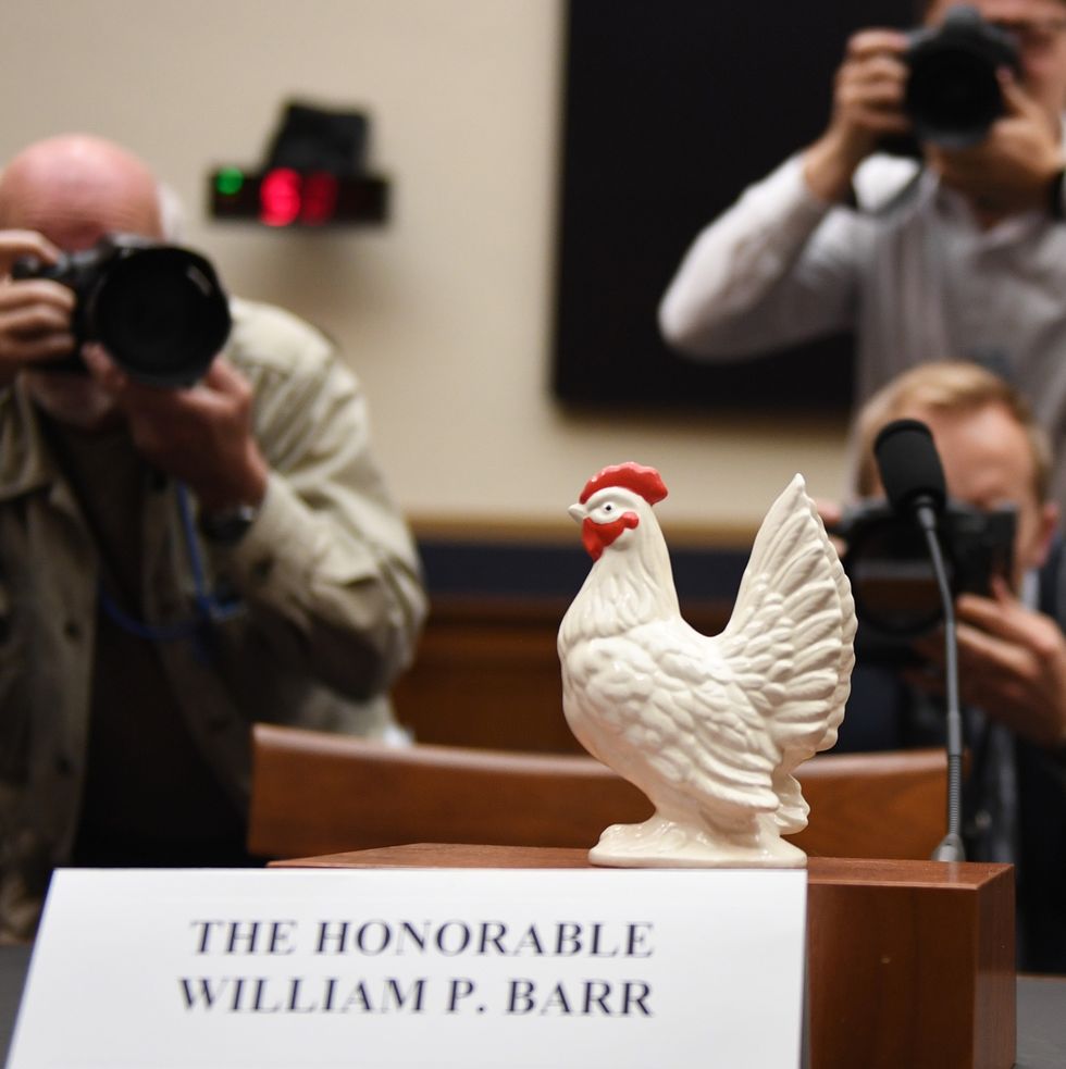 photographers-take-a-picture-of-a-chicken-placed-on-the-news-photo-1140767227-1556813981.jpg