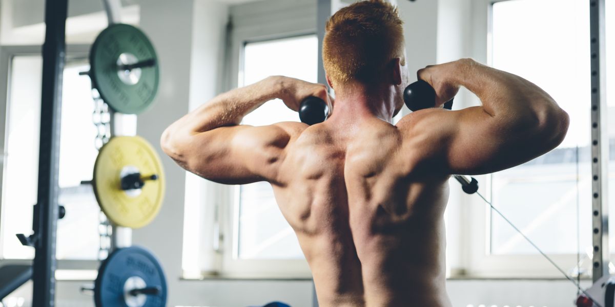 Best Shoulder Exercises And Shoulder Workouts For Building Muscle