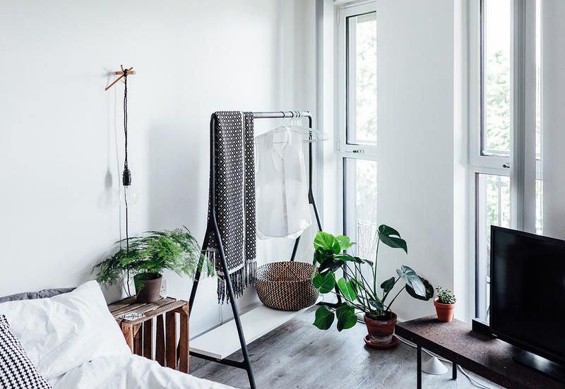 Featured image of post Aesthetic Black Bedroom With Plants / They can also boost your mood, enhance your creativity, reduce your stress levels, increase your productivity, naturally filter air pollutants, and much more.