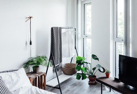The Best Indoor Plants To Purify The Air In Your Bedroom