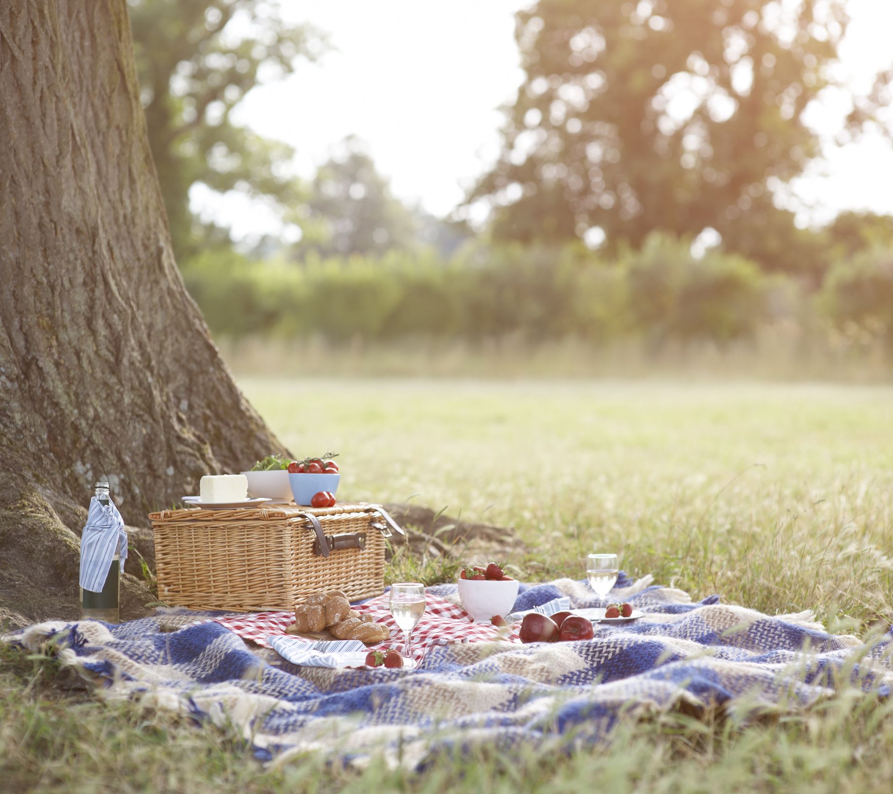 Large Fold Away Picnic Blanket Ideal For The Outdoor Countryside And Beaches