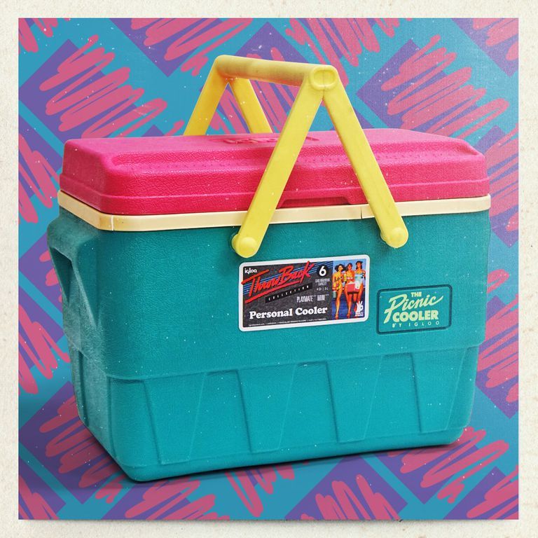 the picnic cooler by igloo