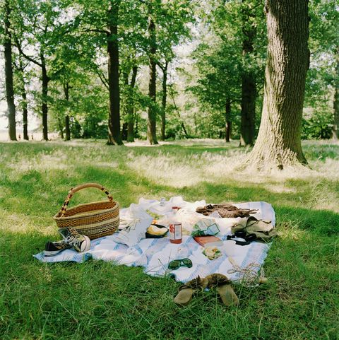 5 Sure-Fire Ways To Keep Wasps Away From Your Picnic – How To Get Rid ...