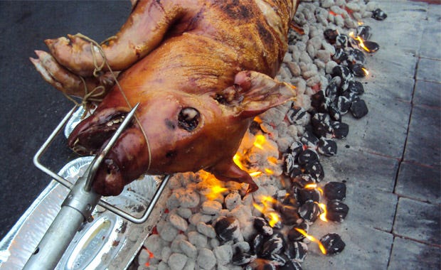 How to pig roast spit