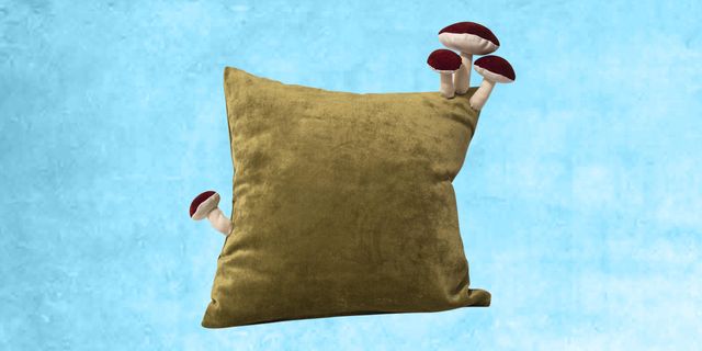 mushroom pillow