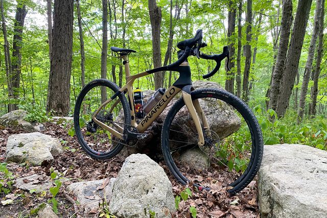 pinarello grevil f ekar gravel bike leaning against a rock in the woods