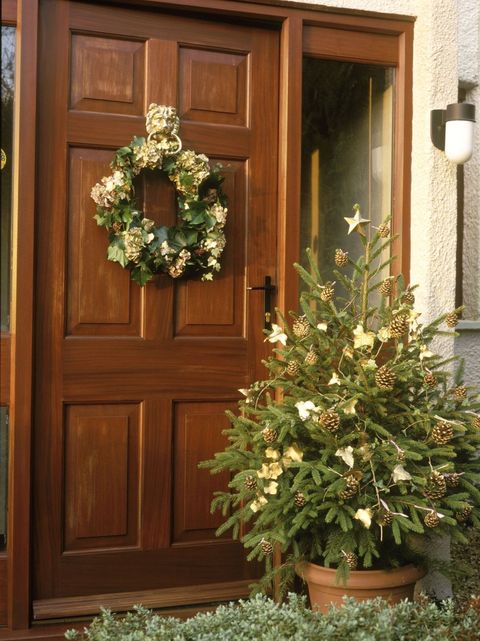 Plant, Christmas decoration, Flower, Home, Door, Tree, Houseplant, Window, Wood, Architecture, 