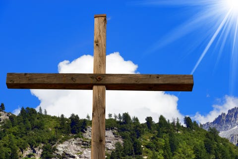 pine tree crosses easter story crosses on a pine tree meaning